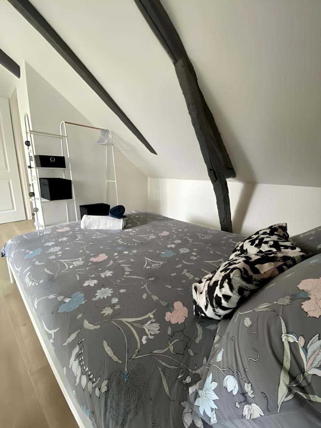 Maison Familiale Avec Exterieur Menage Et Linges Inclus Rouen Zewnętrze zdjęcie